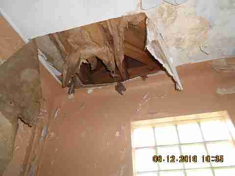 18961 Joann (20)_m.jpg